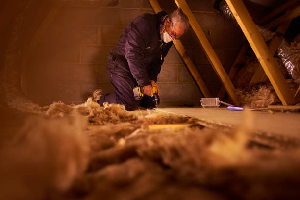 Best Energy-efficient Insulation  in Huntsville, MO
